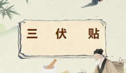 三伏贴开始预约啦丨冬病夏治  趁热来“贴”
